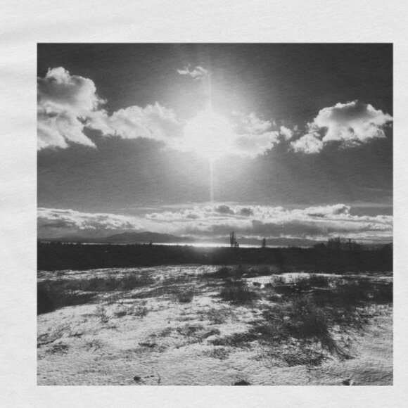 Unisex Cotton Tee Ivy Angel Wings - Picture 2 of 4